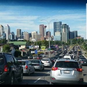 Meet your Posher, Sammy